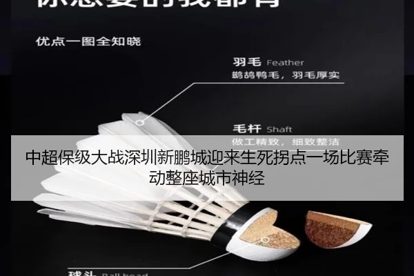 中超保级大战深圳新鹏城迎来生死拐点一场比赛牵动整座城市神经